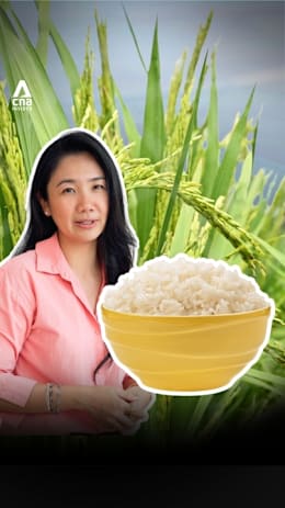 How pollution ends up in the rice we eat