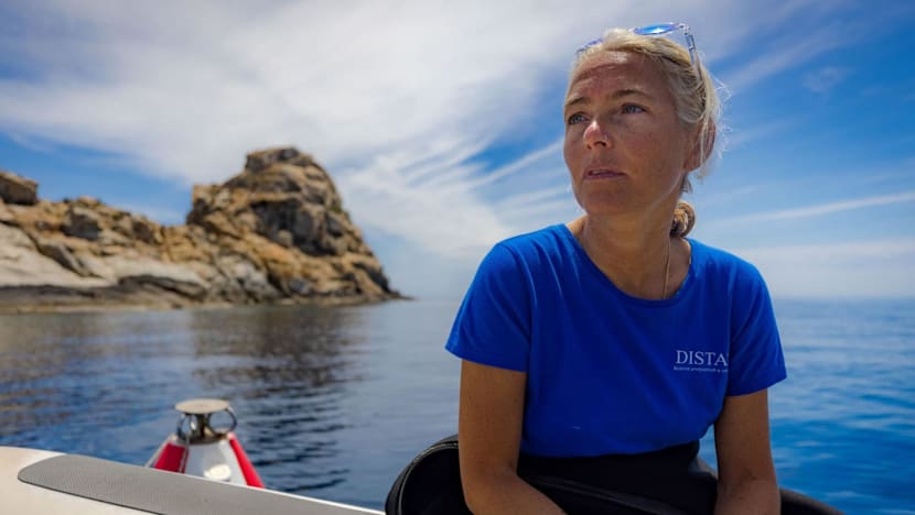 Maldives rescuers search for four drowned Italian divers