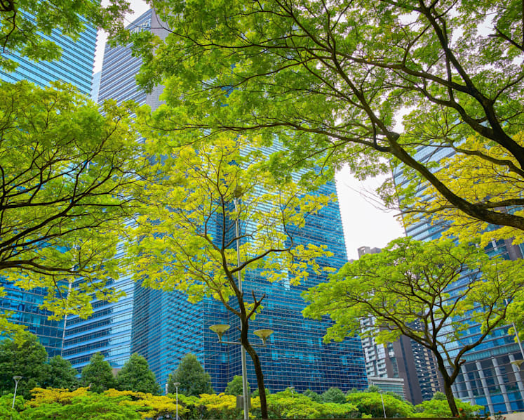 Navigating climate risks in a carbon-constrained world