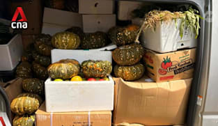 Food support providers cite storage space, transportation and funding as top operational challenges 