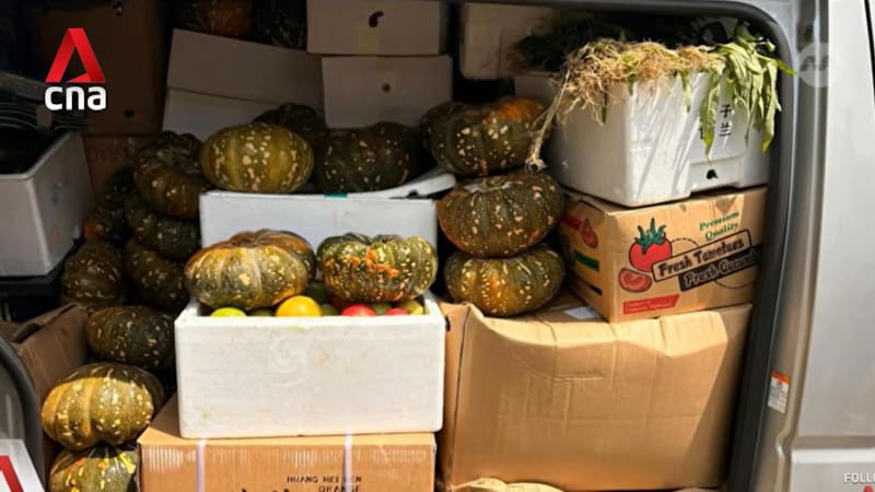 Food support providers cite storage space, transportation and funding as top operational challenges 